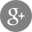 Google Plus